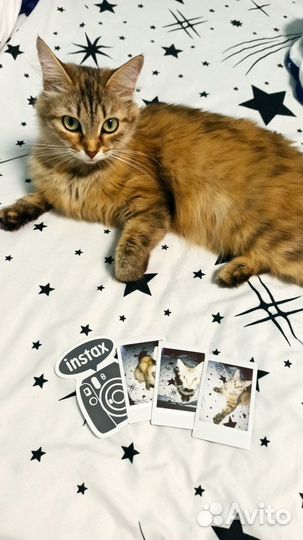 Фотоаппарат мгновенной печати instax mini (мятный)