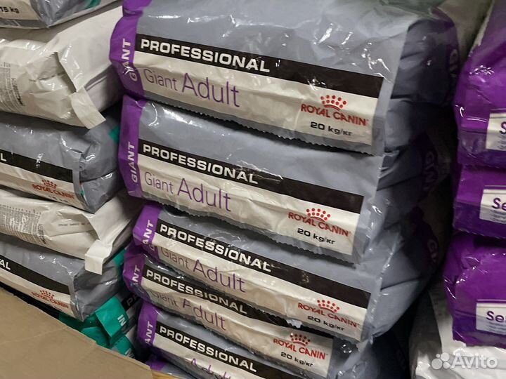 Роял канин для собак Мини, Макси, Медиум, Джайнт