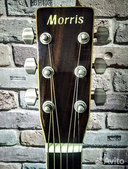Акустическая гитара Morris LF-300 (Japan)
