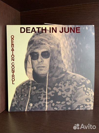 Death in June, Der Blutharsch, Sol Invictus