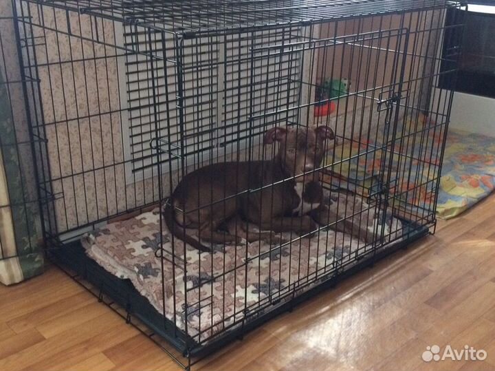 Клетка для собак новая, все размеры