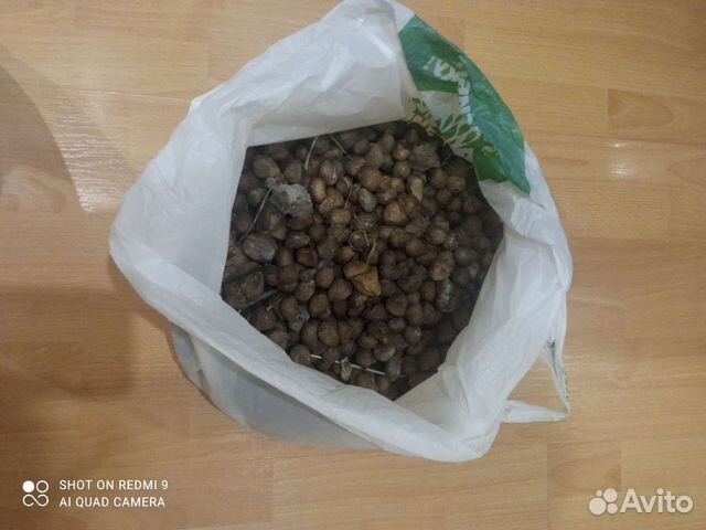 Лосиный навоз