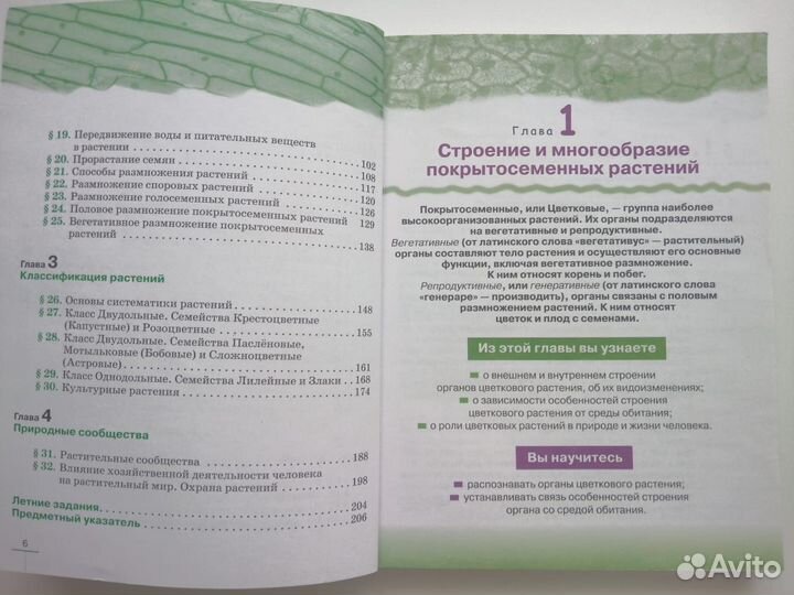 Учебник по биологии 6 класс В.В.Пасечник
