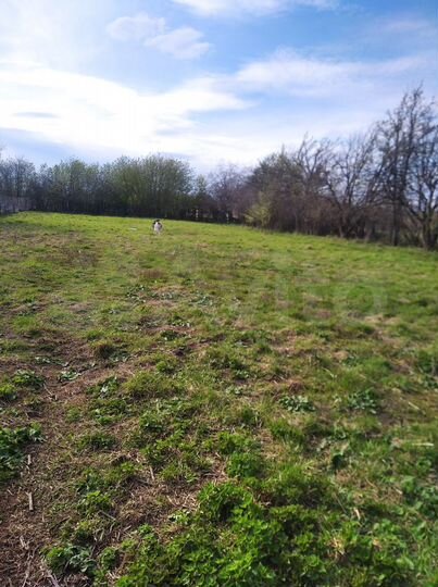 Дом 44,2 м² на участке 34 сот.