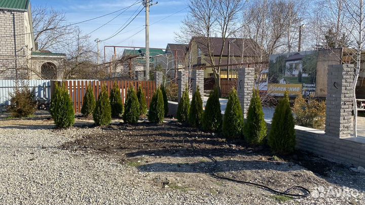 Озеленение и благоустройство