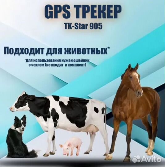 GPS трекер TK Star 905 для животных/авто