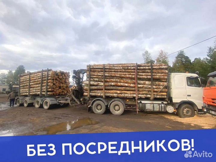 Дрова