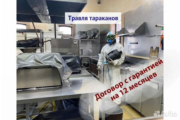 Уничтожение клопов тараканов