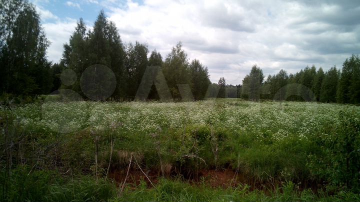 Участок 7,49 га (СНТ, ДНП)