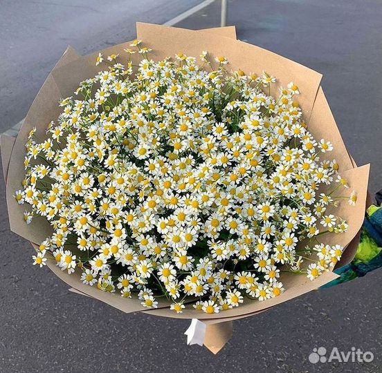 Букеты. Доставка ромашек