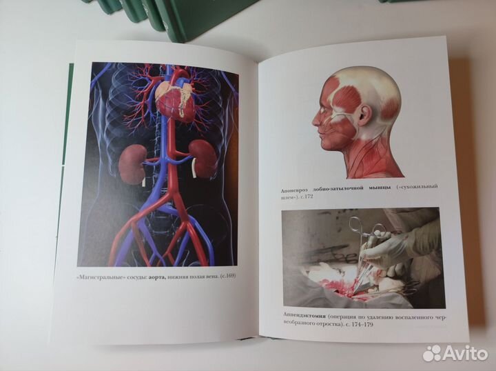 Большая медицинская энциклопедия аиф 30 томов