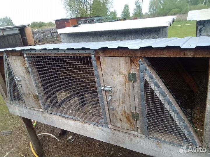 Клетка для кроликов с маточником