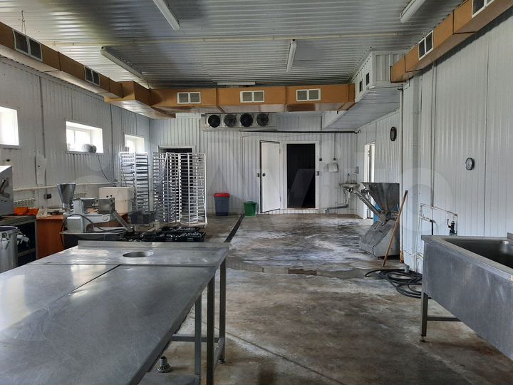 Цех переработки мяса, рыбы и п.фабрикатов. 400 м²