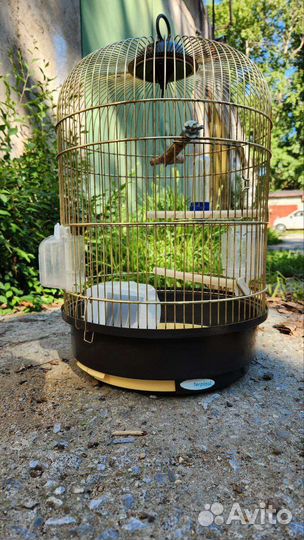Клетка для попугая