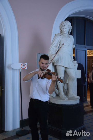 Репетитор по скрипке