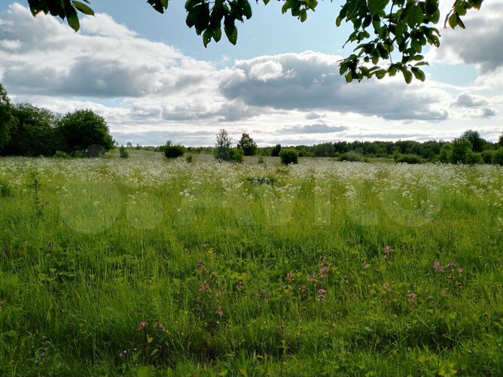 Участок 9 га (СНТ, ДНП)