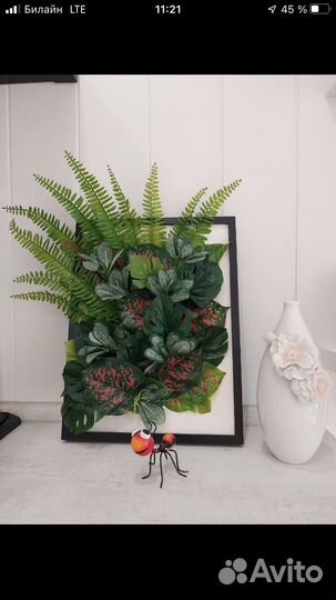 Постеры,картина из зелени,картины их мха,декор