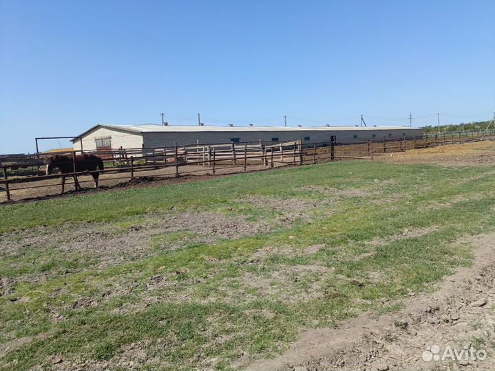 Фермерское хозяйство с землей (пашня) 648 га