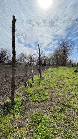 Участок 12 сот. (ИЖС)