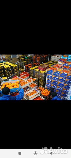 Овощи и фрукты оптом