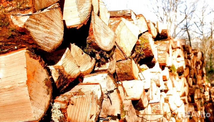 Дрова отличные