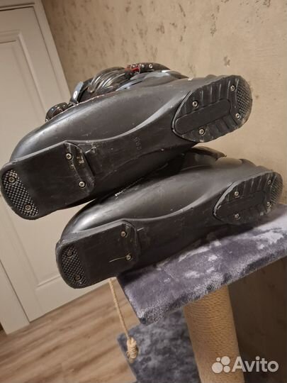 Горнолыжные ботинки