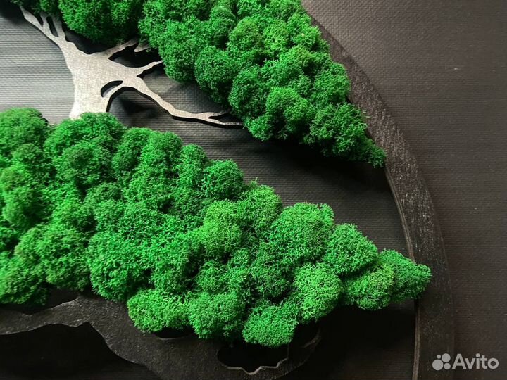 Панно с стабилизированным мхом