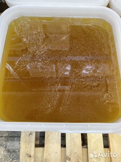 Мед с Алтая свежий цветочный только опт