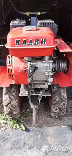 Тележка для жаток Кадви, Авангард 2016