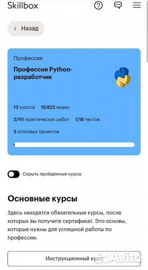 Python разработчик Skillbox
