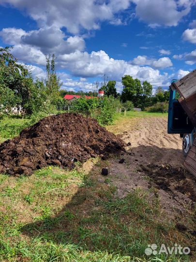 Продажа навоза