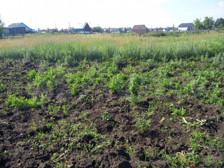 Участок 10 сот. (ИЖС)