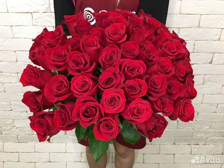 51 красная роза 50 см (Эквадор)