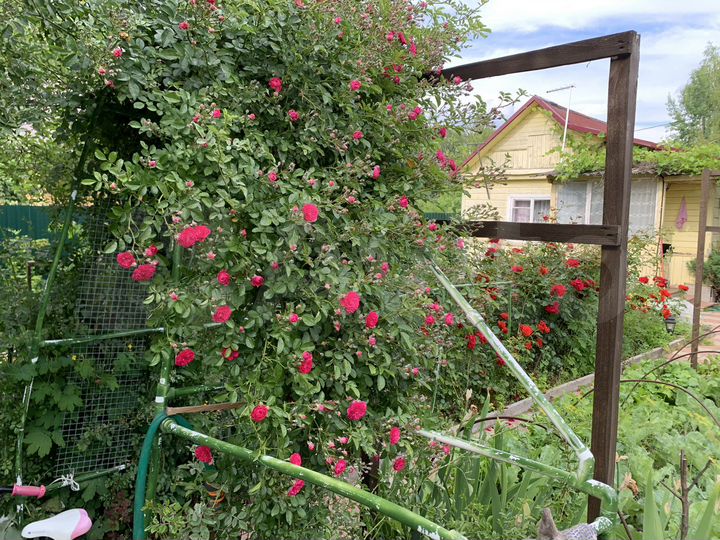 Дача 29,5 м² на участке 5,3 сот.