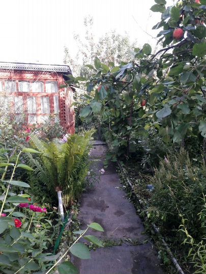 Дача 58 м² на участке 6 сот.