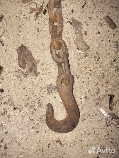 Цепной паук