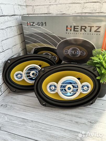 Динамики hertz овалы
