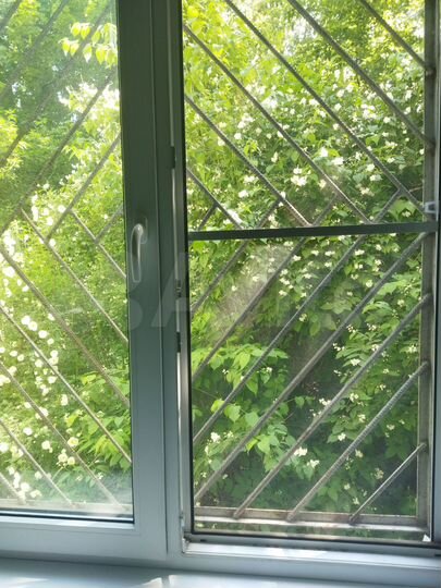 3-к. квартира, 81,1 м², 1/3 эт.