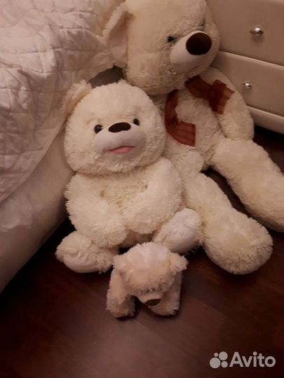 Плюшевые медведи