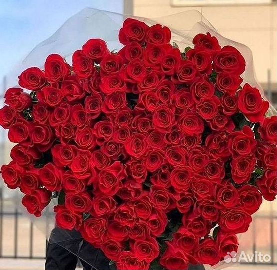 Розы высокие 150 160 170 180 190 200см