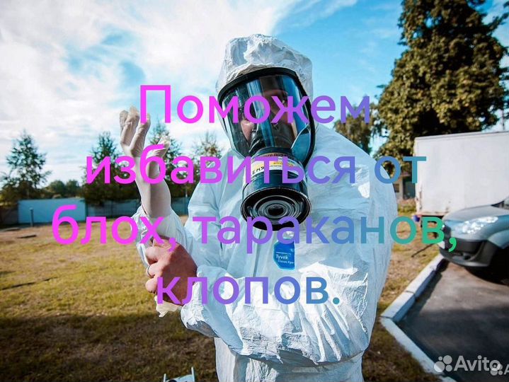 Дезинфекция. Избавим от блох, клопов, тараканов