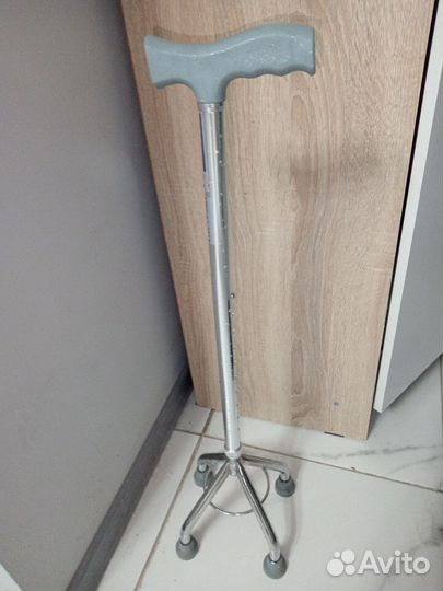 Трость новая