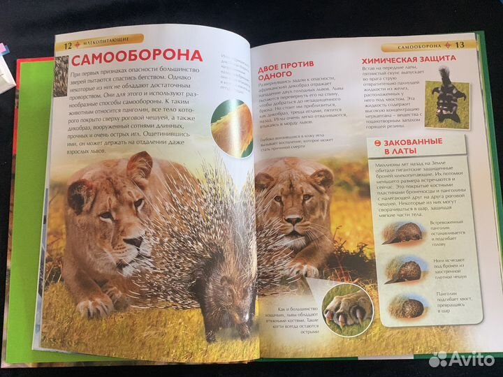 Детская энциклопедия млекопитающие