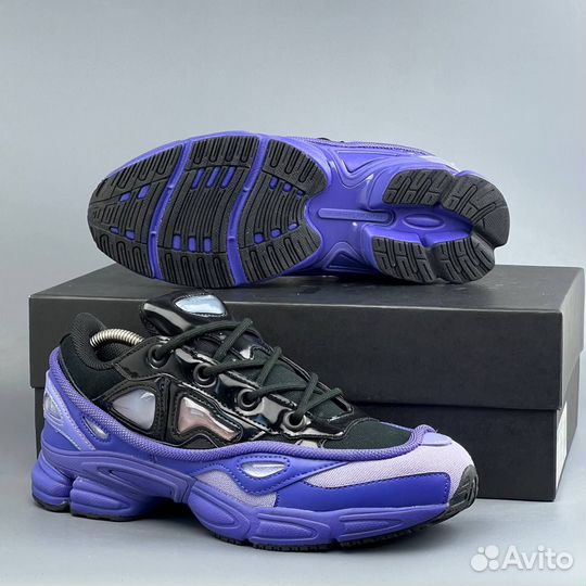 Adidas raf simons ozweego 3 purple black