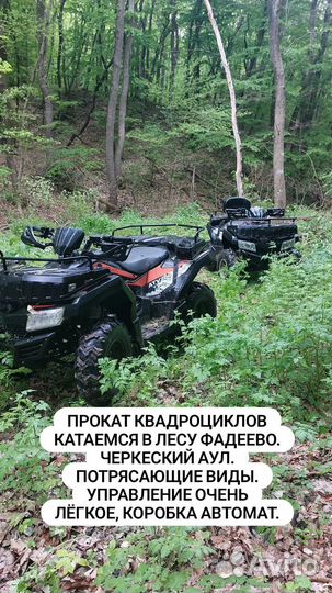 Прокат Квадроциклов