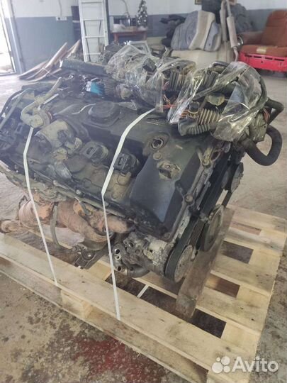 Двигатель BMW 5 E60 N52B25AF
