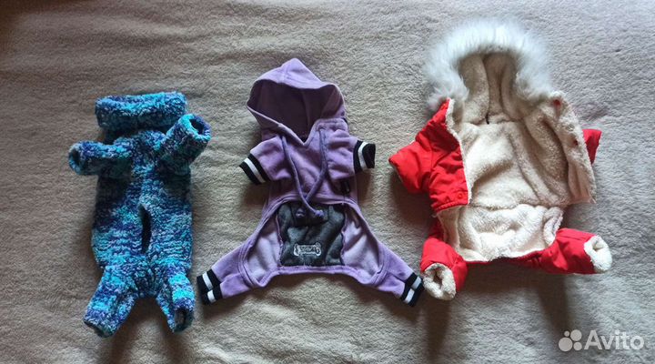 Костюмы на очень маленькую собачку