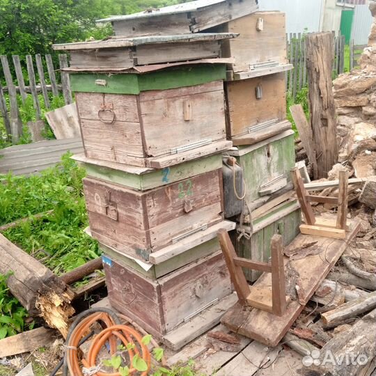 Улей домик для пчел