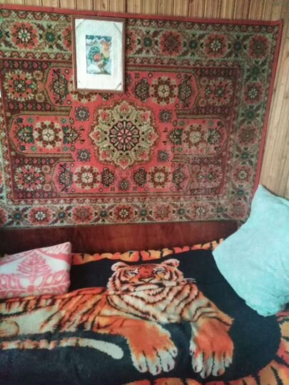 Участок 12 сот. (СНТ, ДНП)