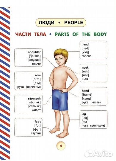 Английский словарь для малышей в картинках
